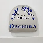 Esterina Couette-café *