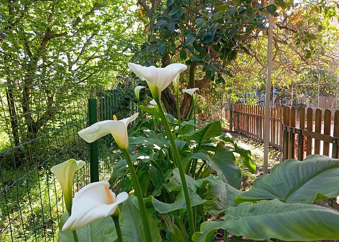 Esterina * Pontecagnano