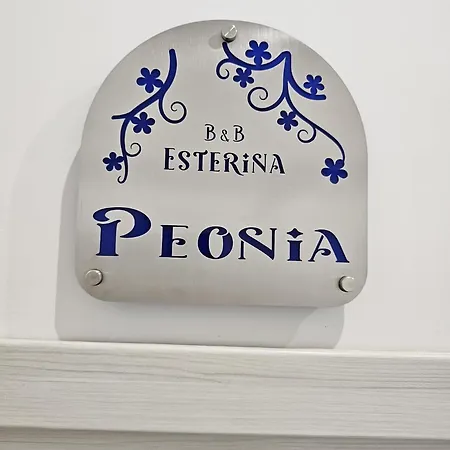 Esterina Bed & Breakfast Pontecagnano